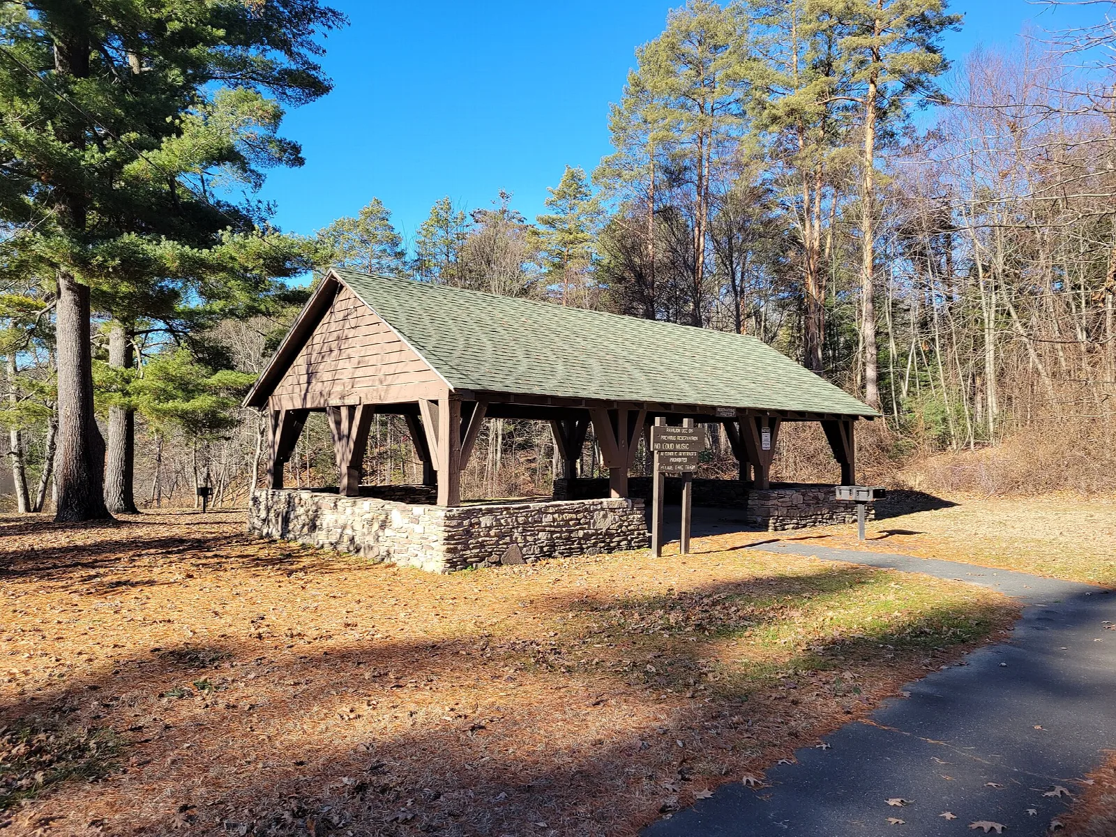Wooden picnic shelter with a green roof among tall pines