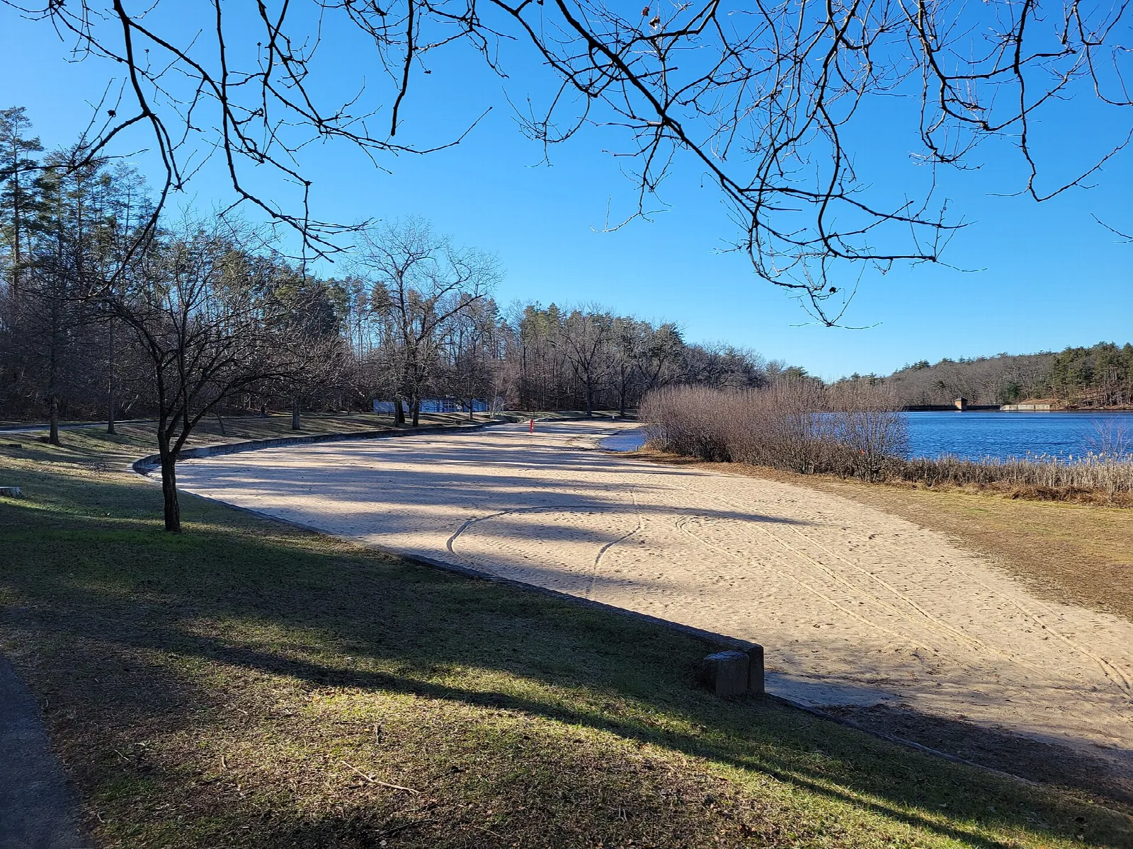 Sandy beach curving along a blue pond with bare trees