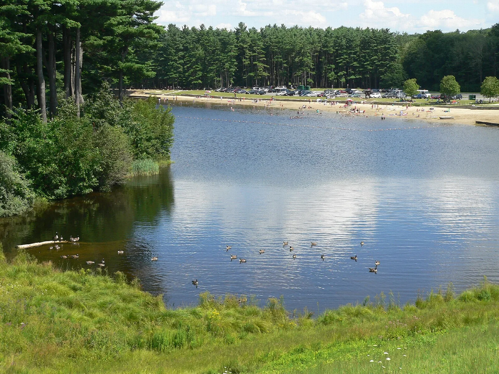 Calm reservoir with a grassy bank and a beach in the distance