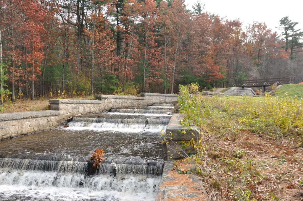 Water stepping down a stone spillway with orange fall trees beside it