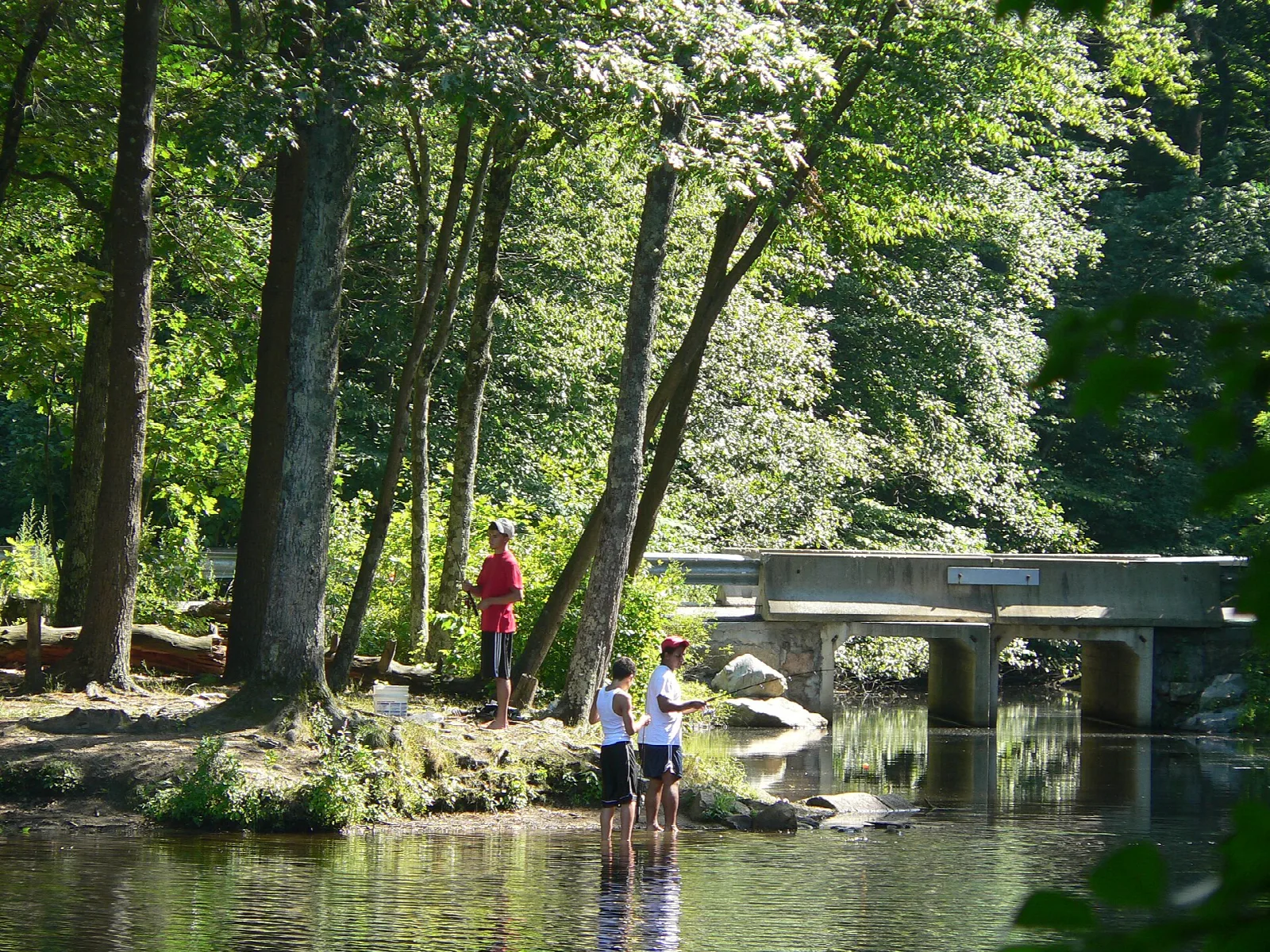 Two people at the water's edge under trees near a stone bridge