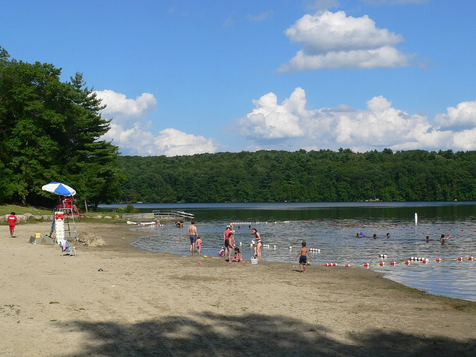 Sandy swimming beach with people and a green forest shore
