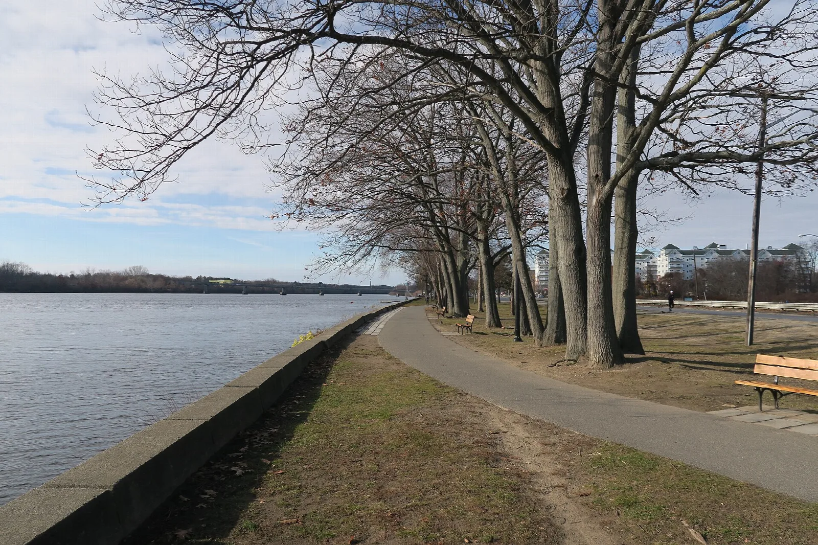 Paved riverside path with a bench and bare trees beside the Merrimack River