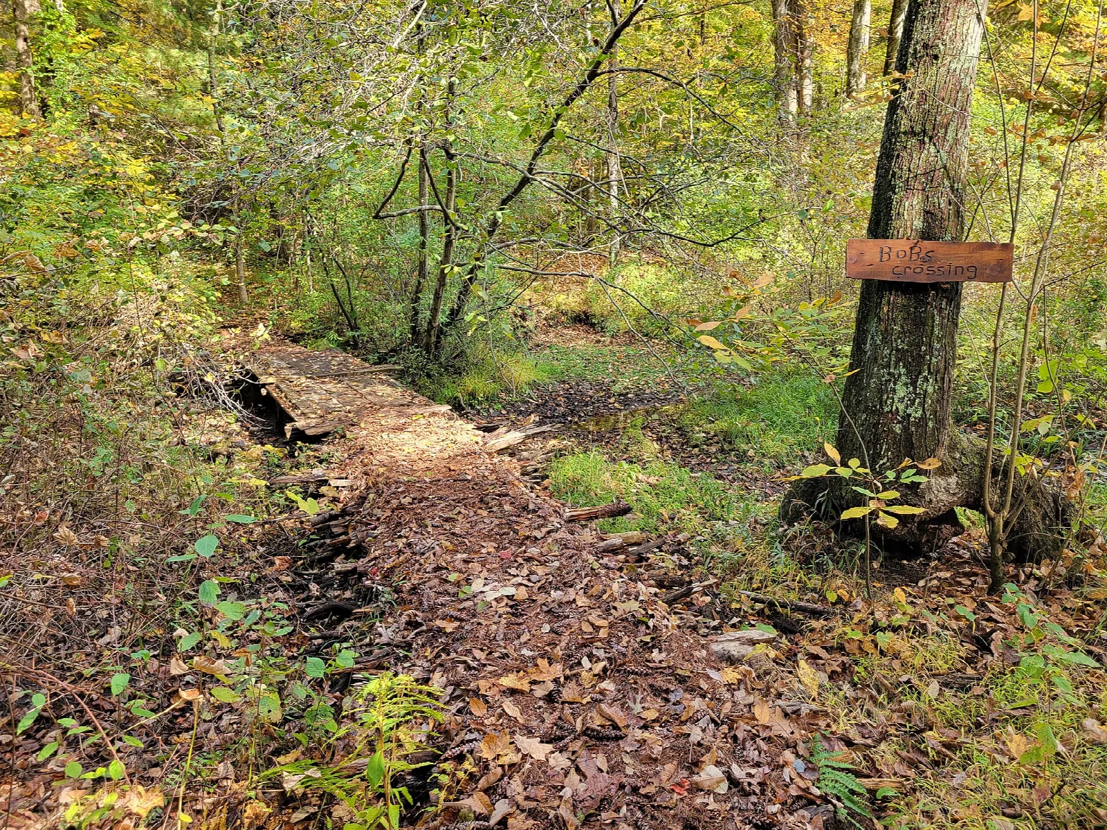 Leafy dirt trail running through a fall forest with a trail marker