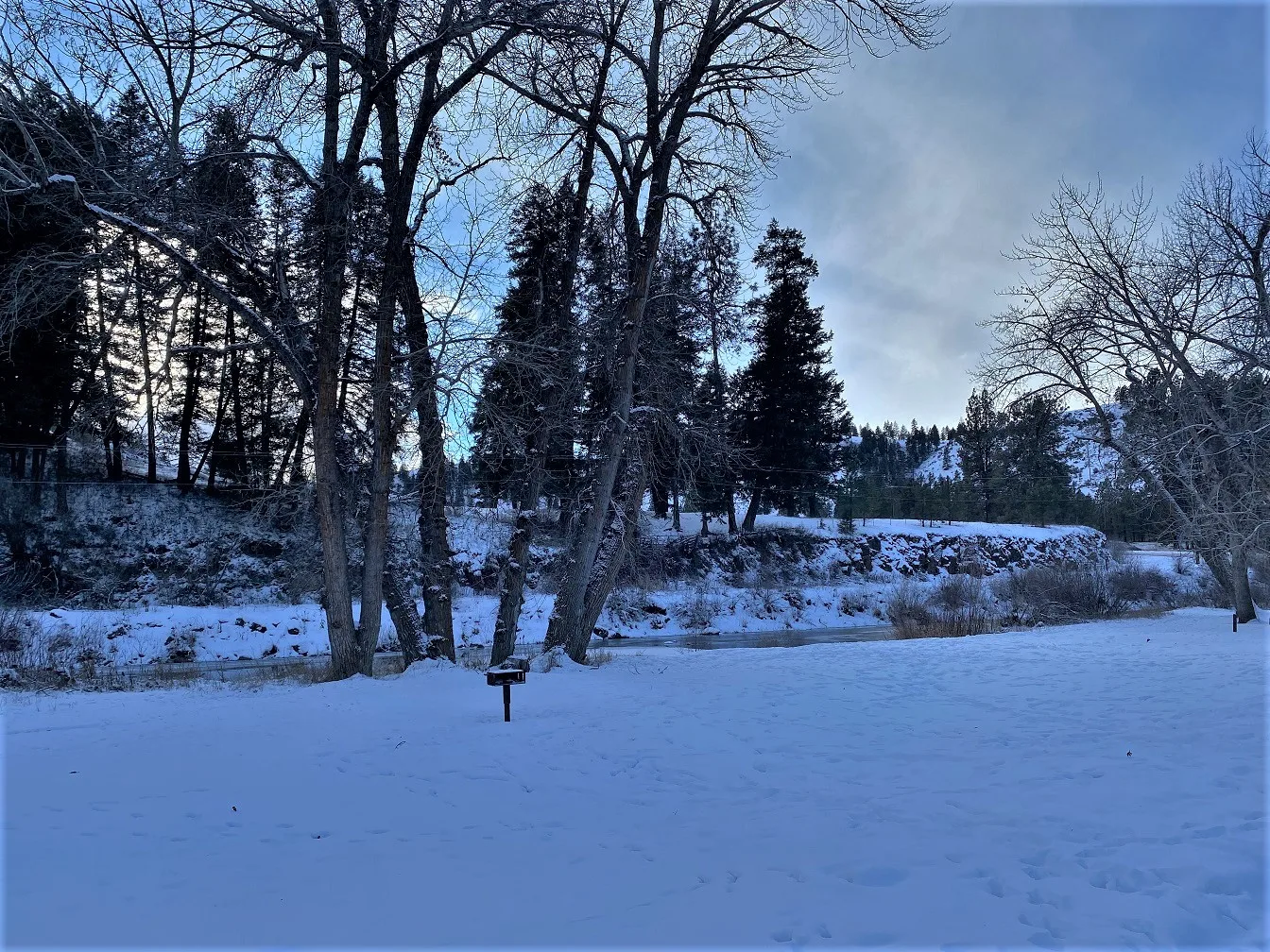 Snowy ground and bare trees beside a wooded river bend