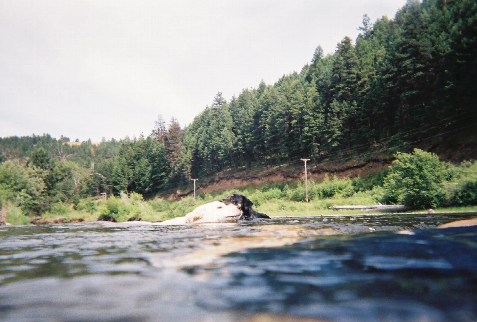 Grande Ronde River flowing past a forested hillside