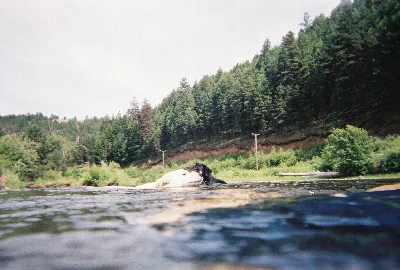 Hilgard Junction State Park
