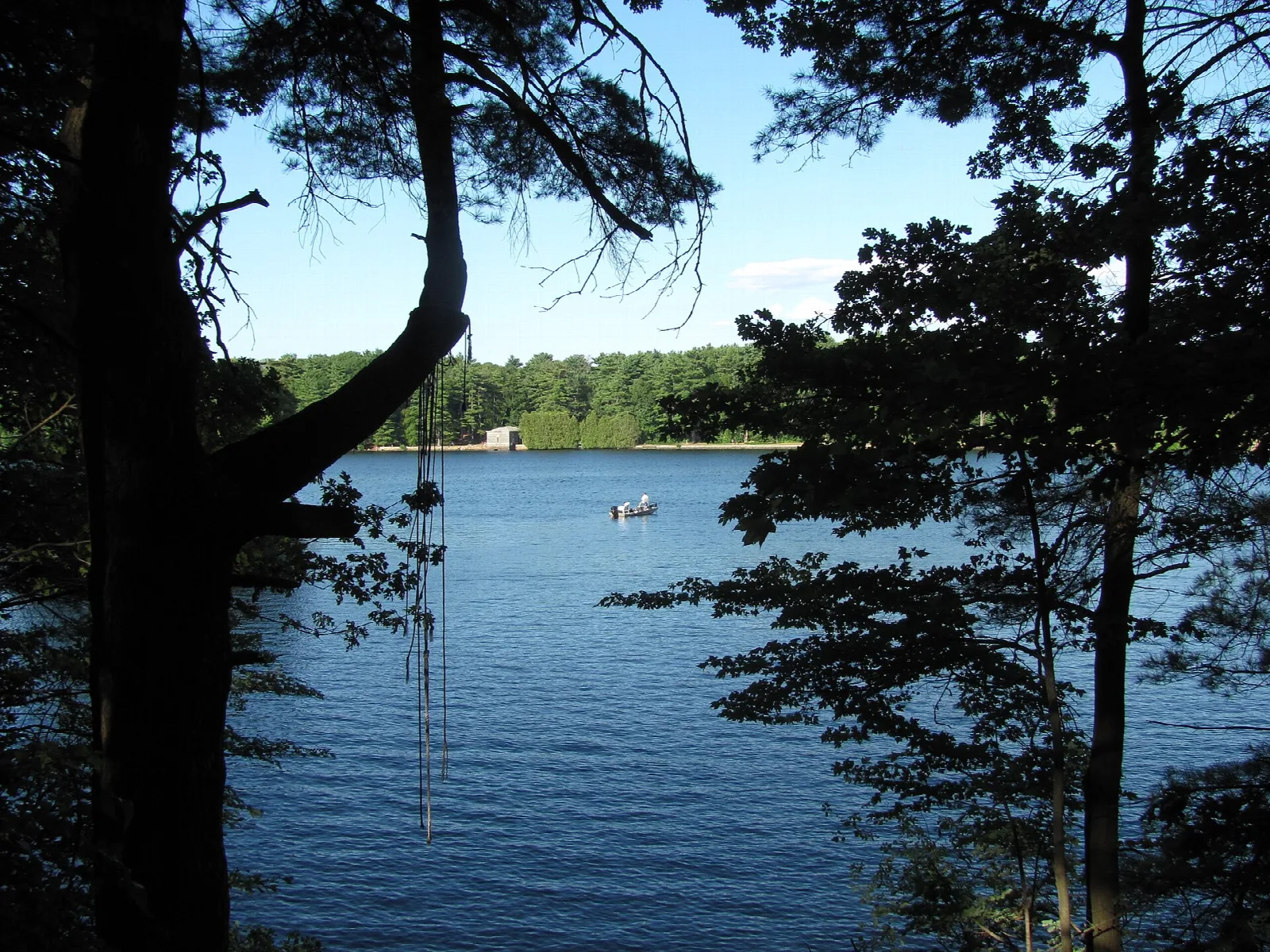 Blue lake framed by dark pine trees with a small boat in the distance