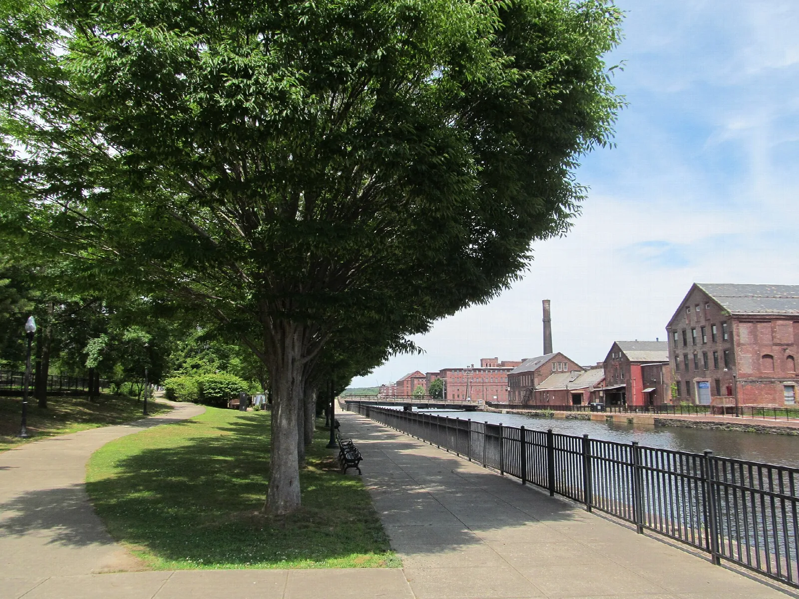 Paved canal-side path under a big tree with red brick mills ahead