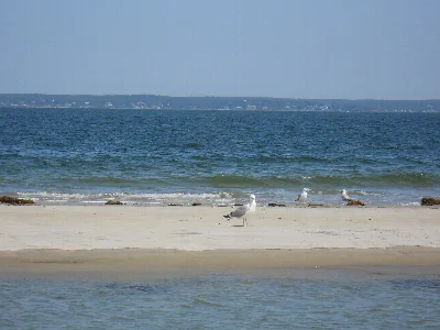 Sandy Point State Reservation