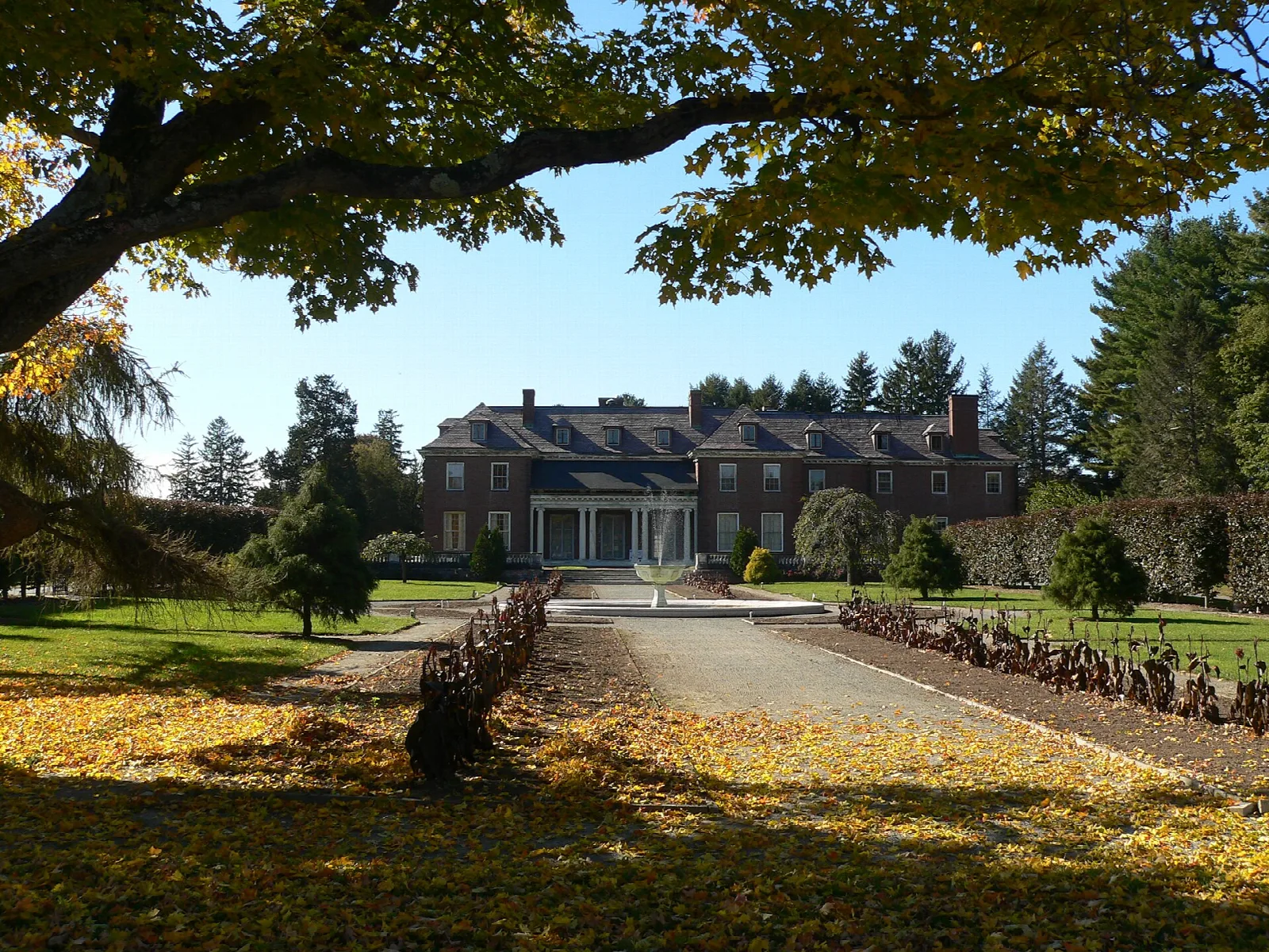 Brick mansion at the end of a drive under big trees with yellow fall leaves