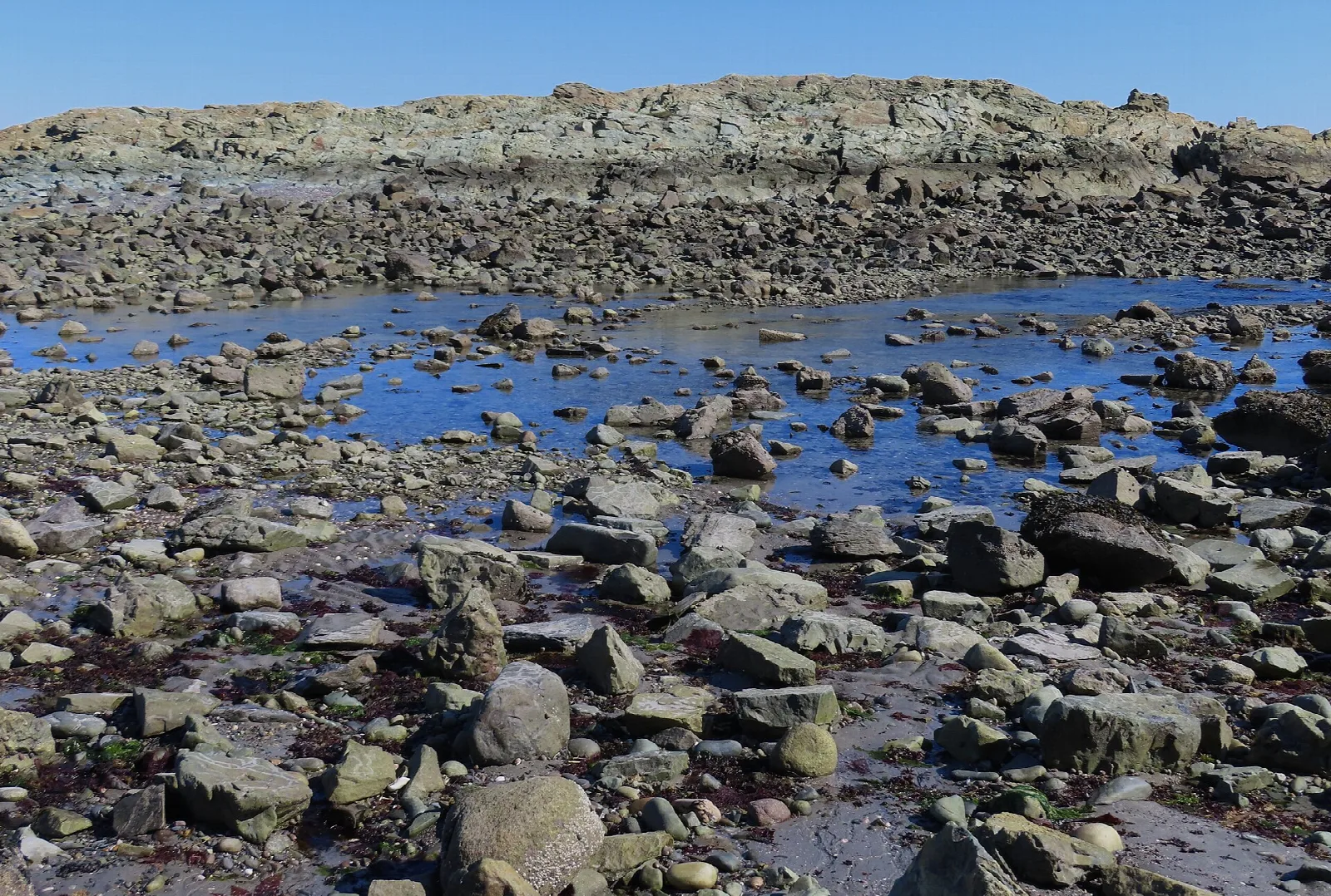 Rocky shore with tide pools and blue sky
