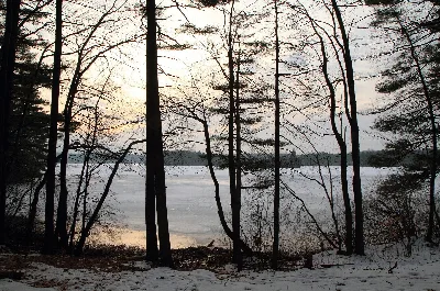Whitehall State Park