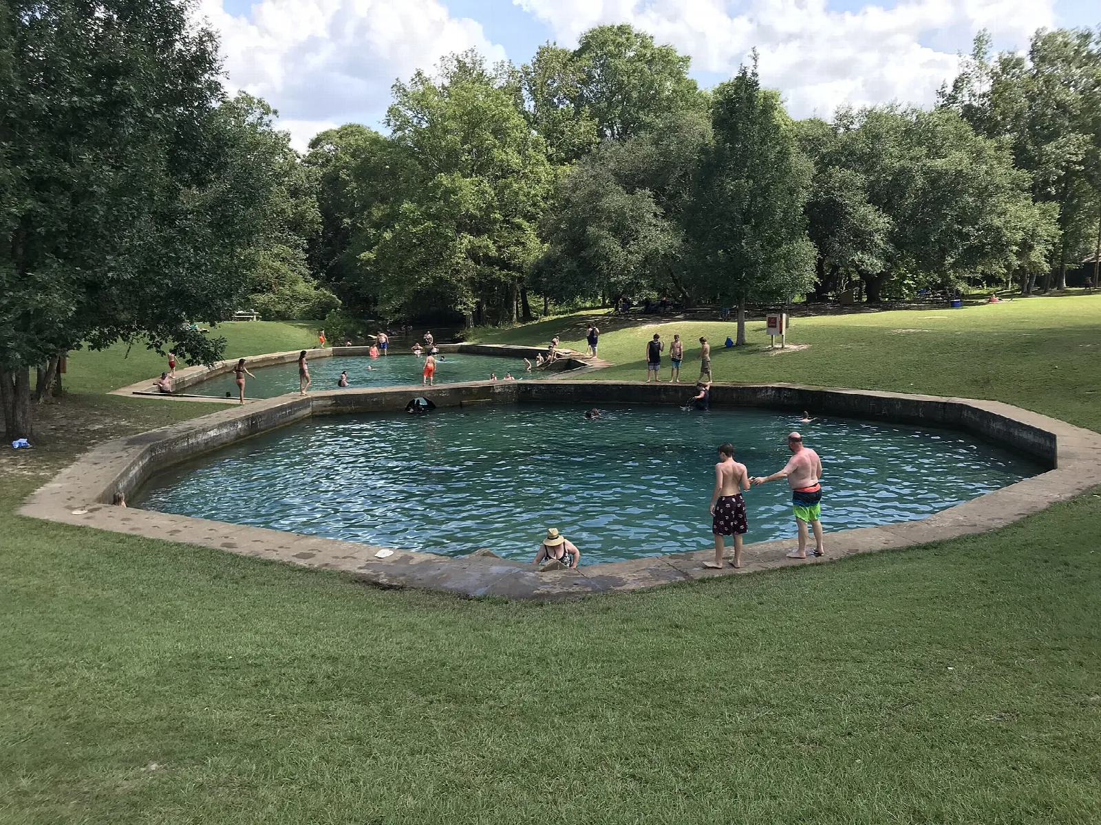 Two round spring-fed pools ringed by concrete, with people wading and green lawn around them
