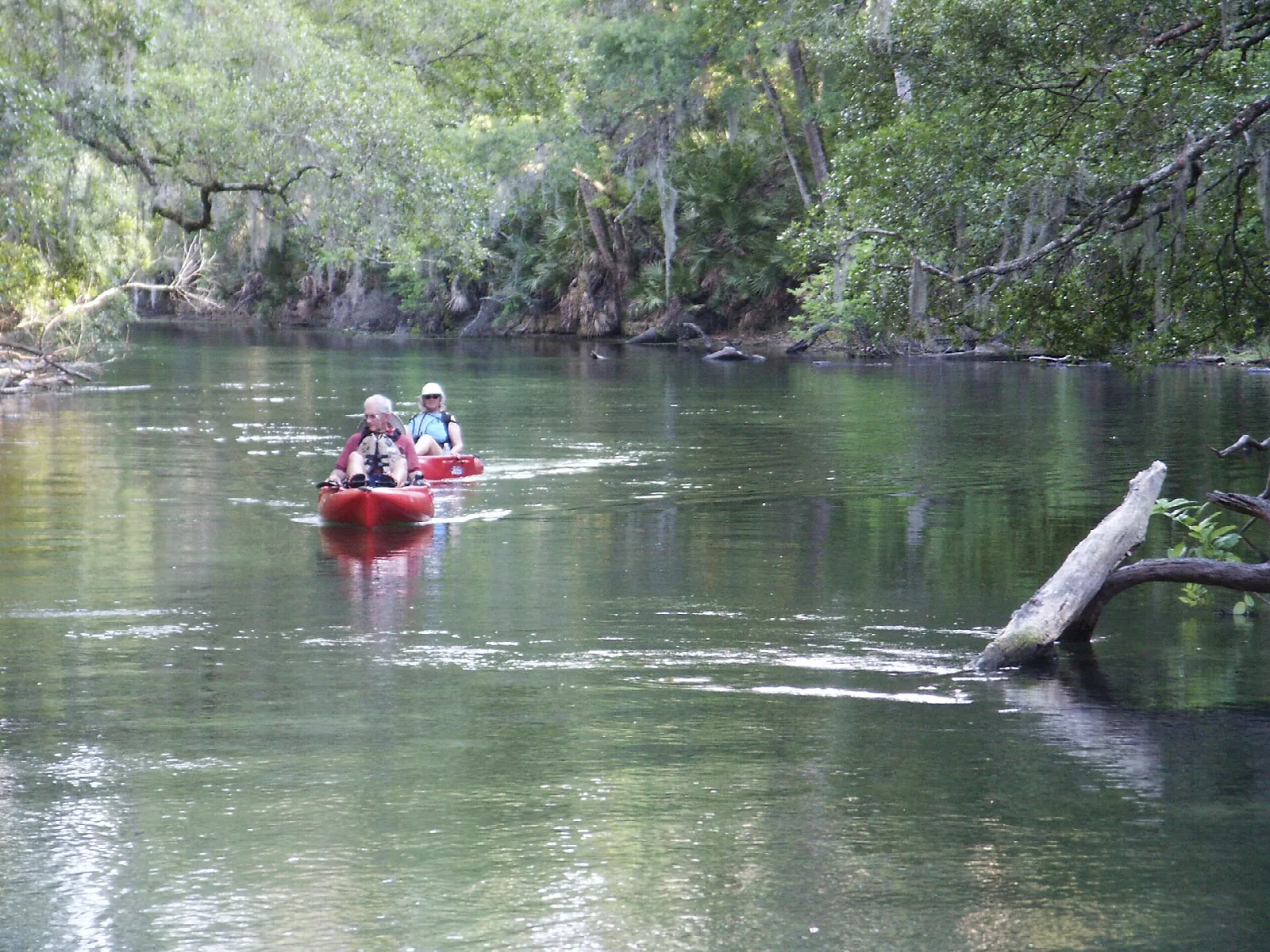 Two people paddling a red kayak down a calm, tree-lined river
