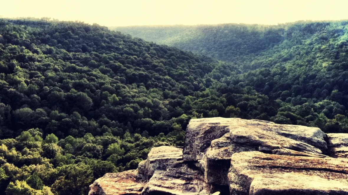 Sandstone ledge above a deep, forested canyon