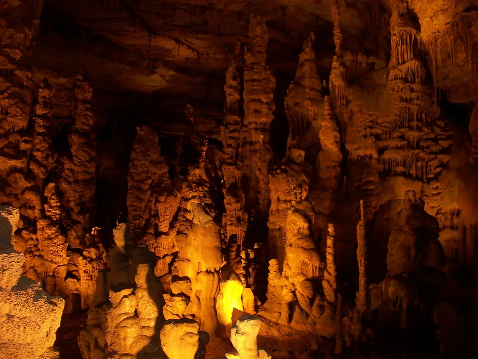 Dense cluster of tall stalagmites lit in amber light inside a cave