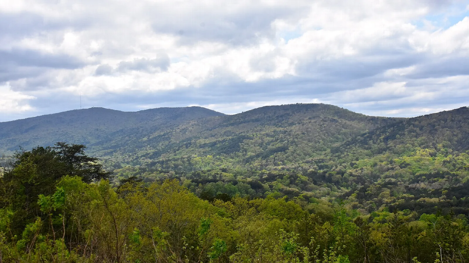 Forested ridgelines under a cloudy sky seen from a mountain overlook