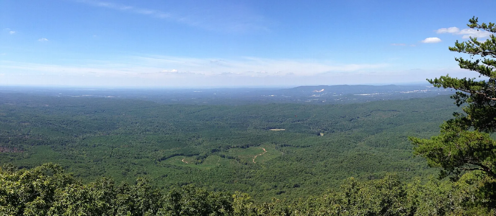 Wide forested valley stretching to the horizon under a blue sky
