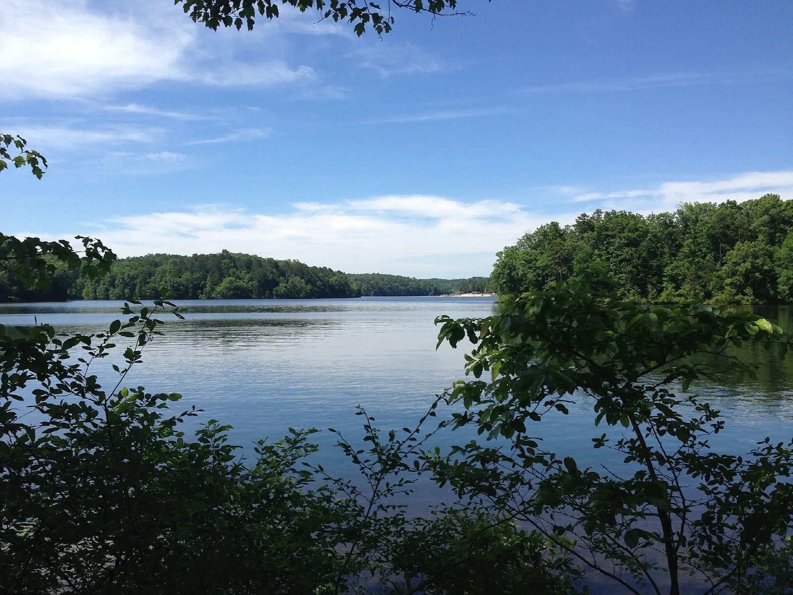 Calm lake with a wooded far shore under blue sky, seen through foreground trees