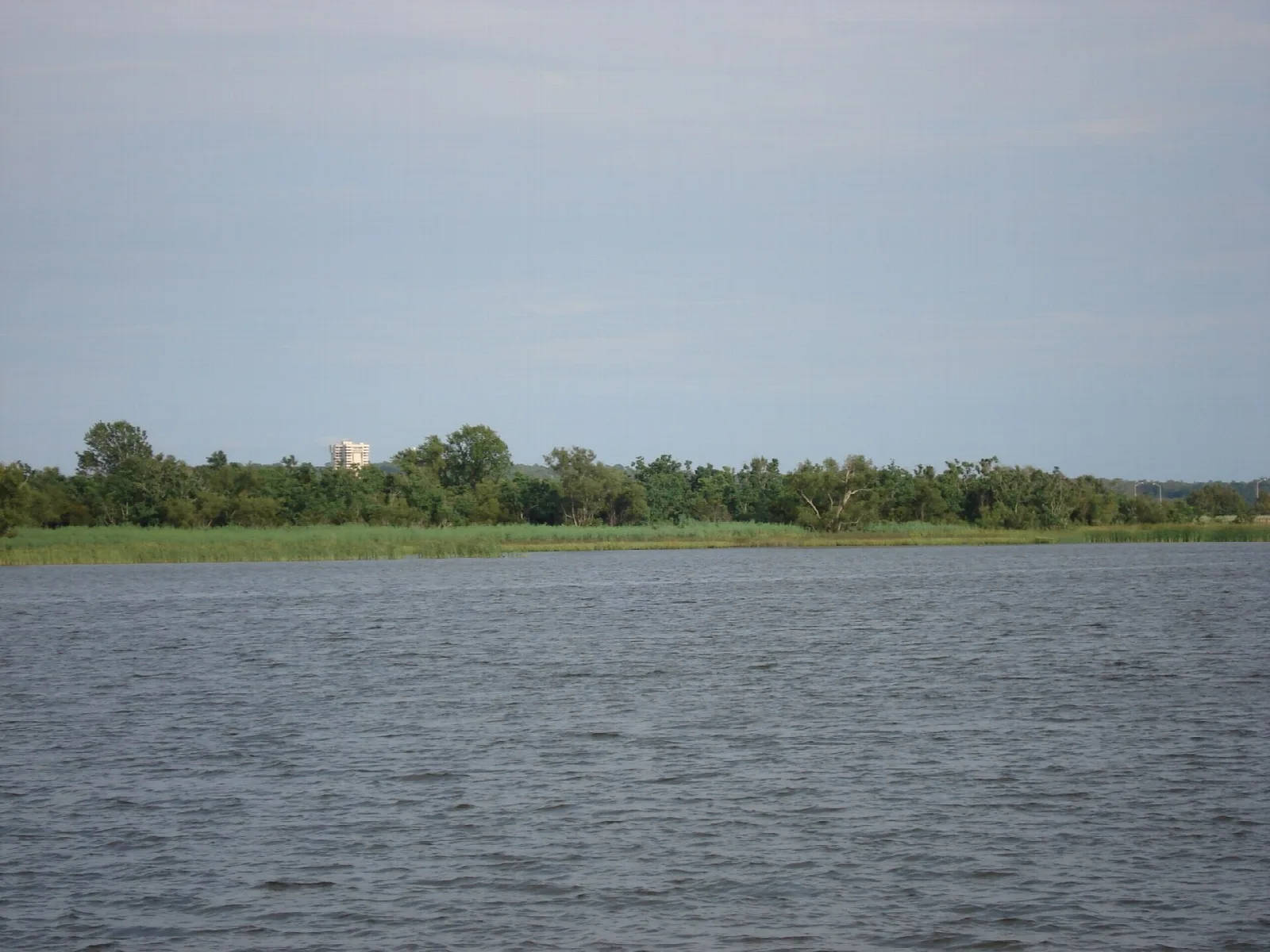 Open water with a tree line and flat shore under gray sky
