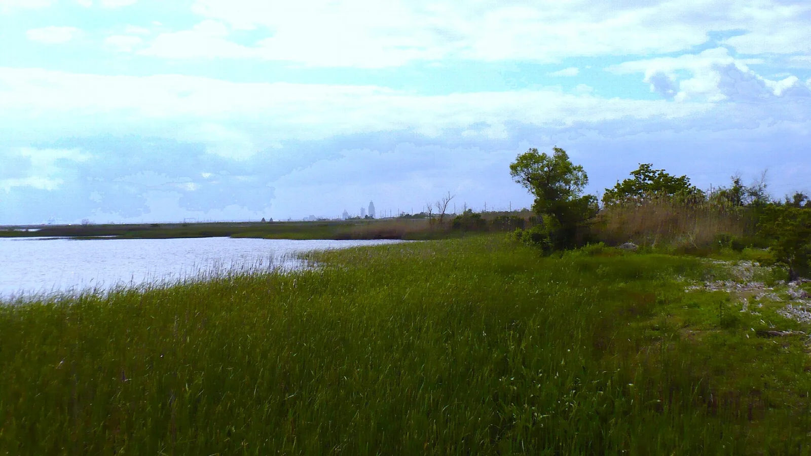 Grassy marsh edge beside open water under a cloudy sky
