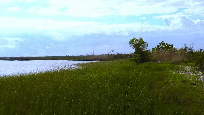 Meaher State Park