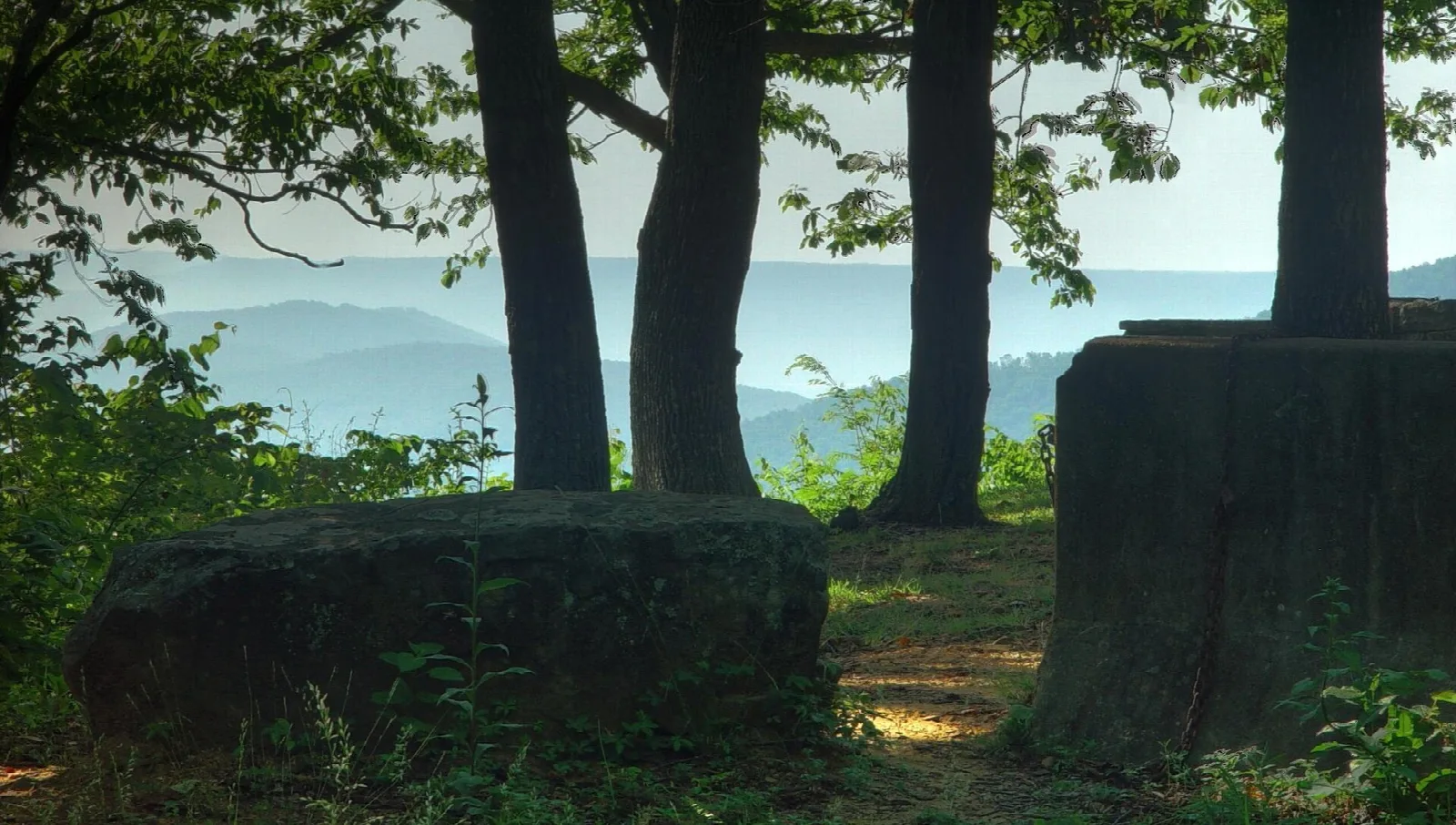 Large mossy stone blocks under tall trees with a hazy mountain view behind