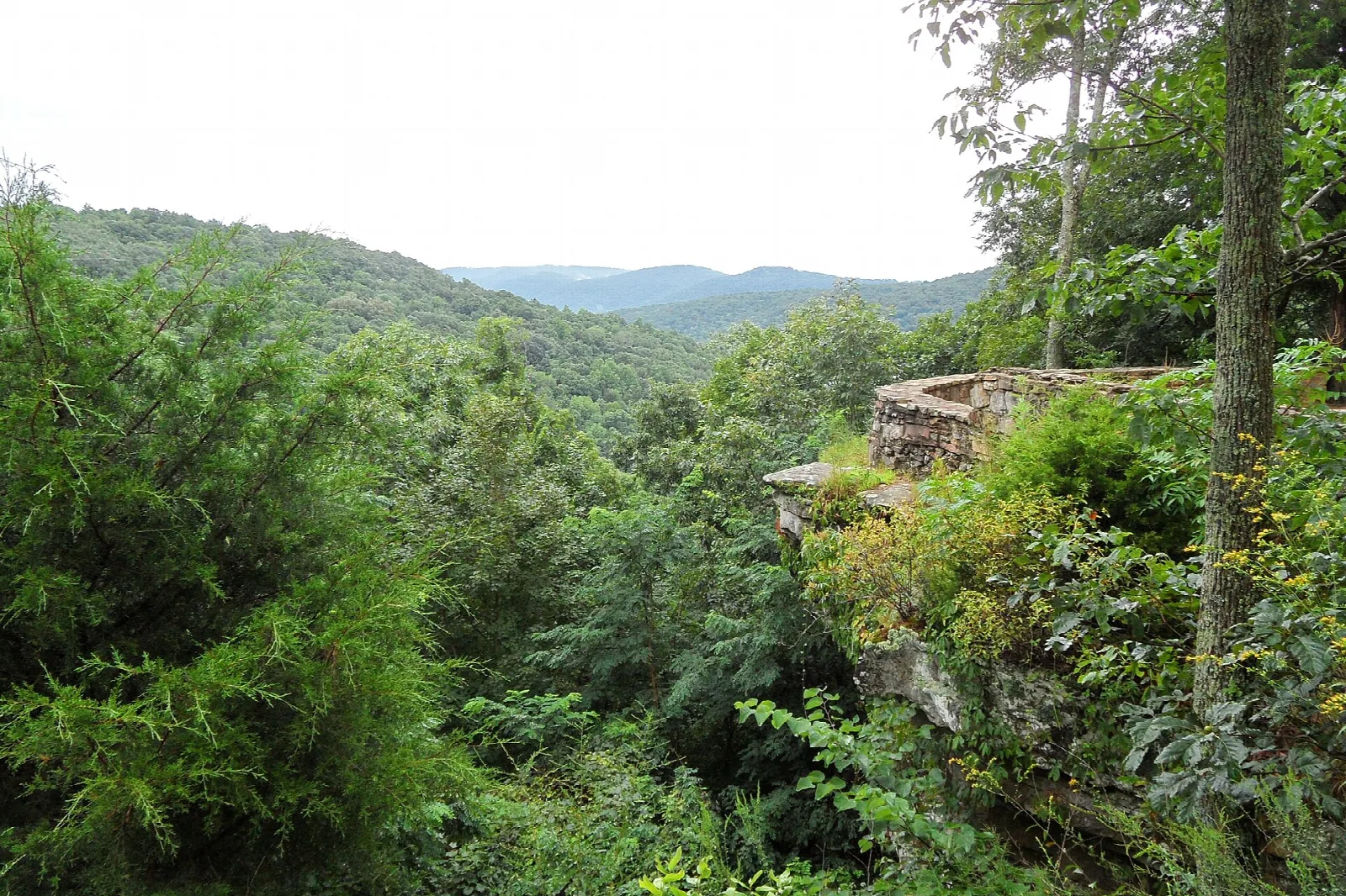 Green forest view from a stone overlook with distant hills under a pale sky