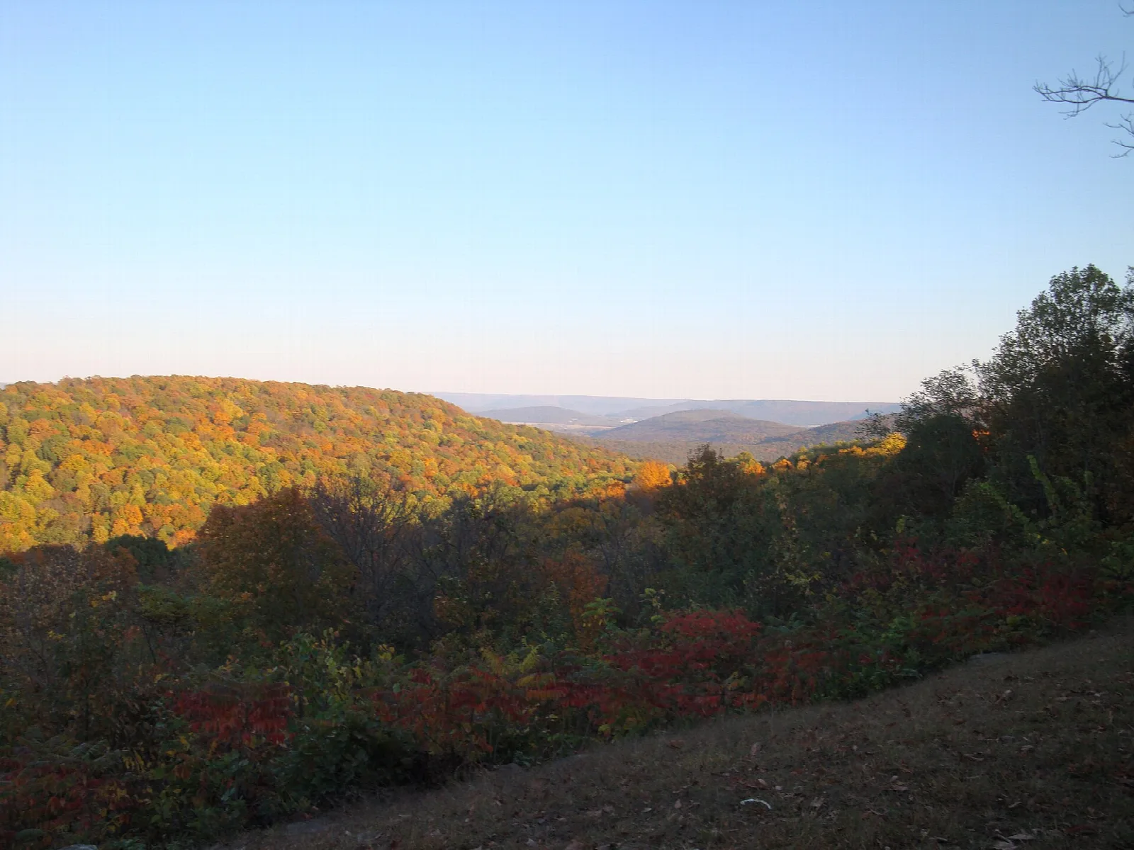 Orange fall leaves on a hillside with a long blue ridge view and a dirt path in front