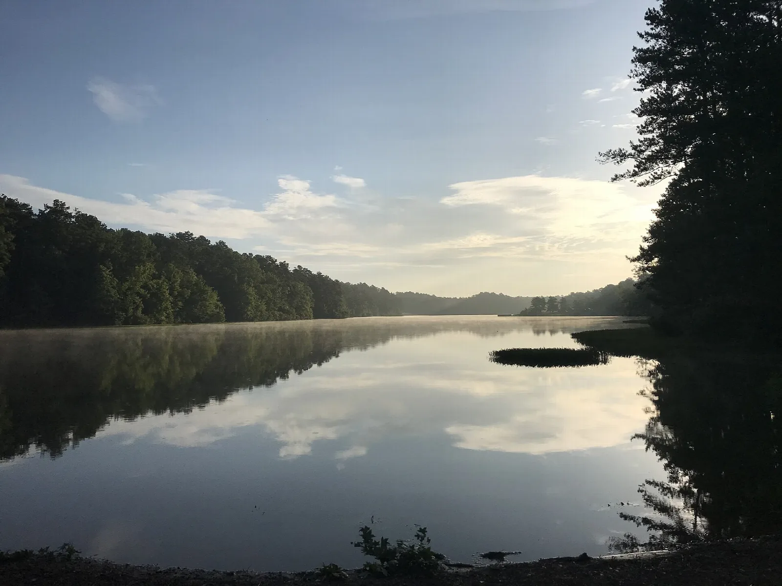 Still lake with a dark tree line and soft clouds reflected in the water