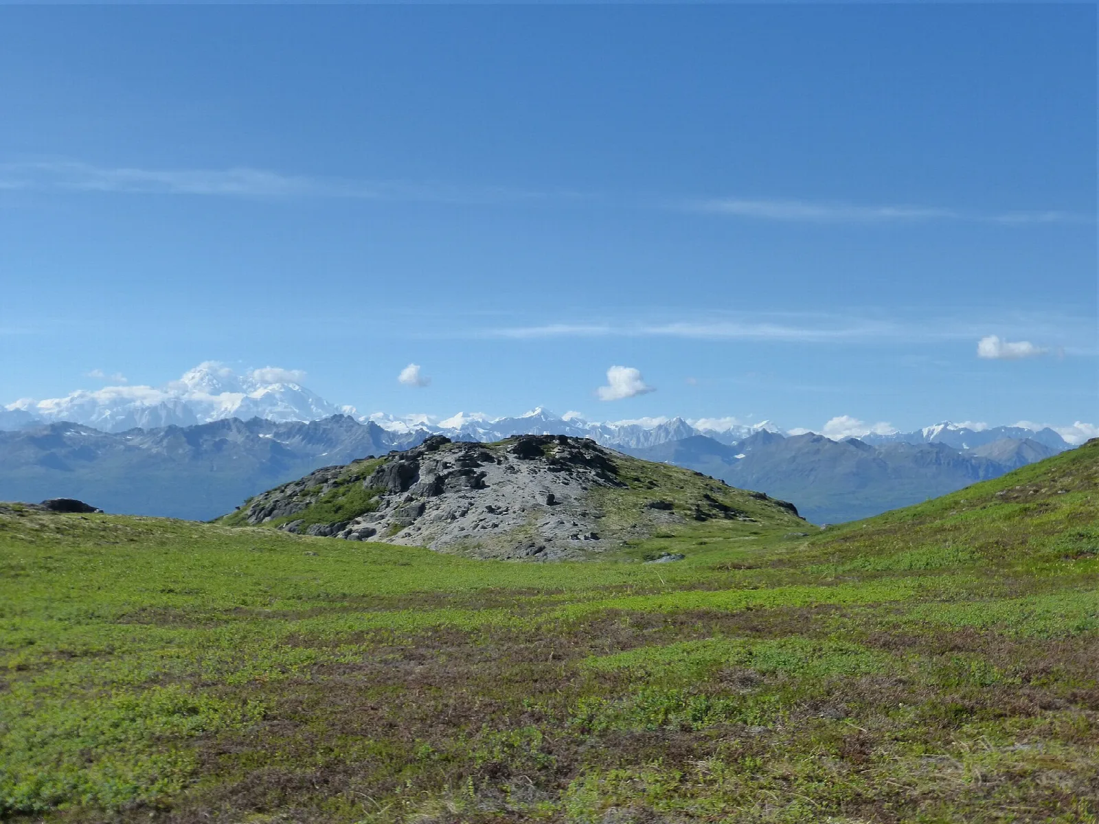 Green tundra ridge with distant snow-covered mountains under blue sky
