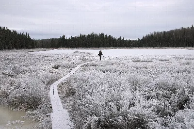 Nancy Lake