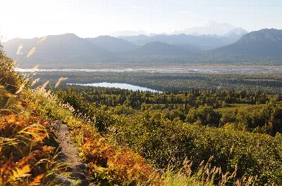 Denali