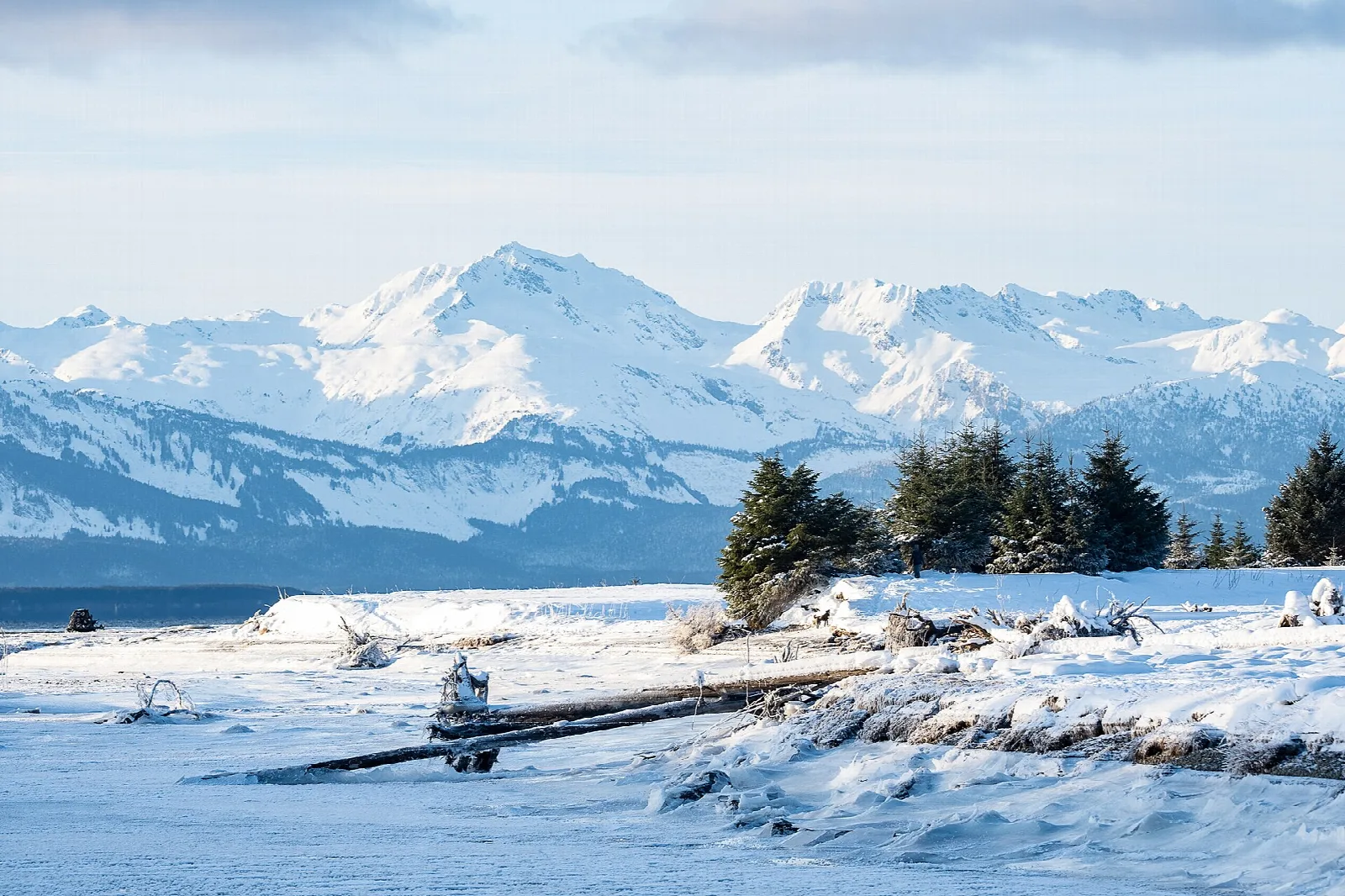 Snowy beach with driftwood and spruce trees, and snow-covered mountains behind