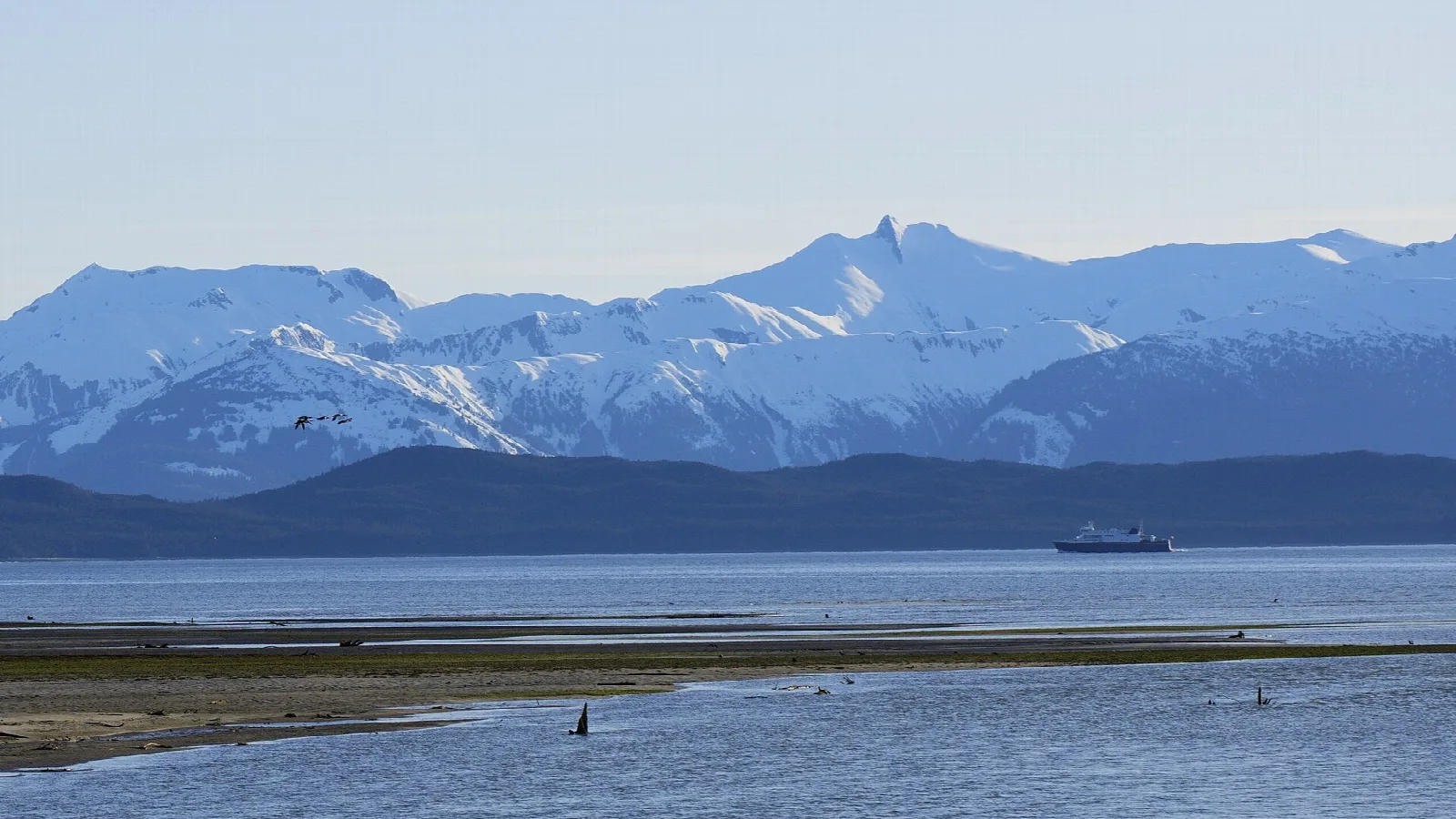 Blue snow-capped mountains above a calm channel and a mudflat shore
