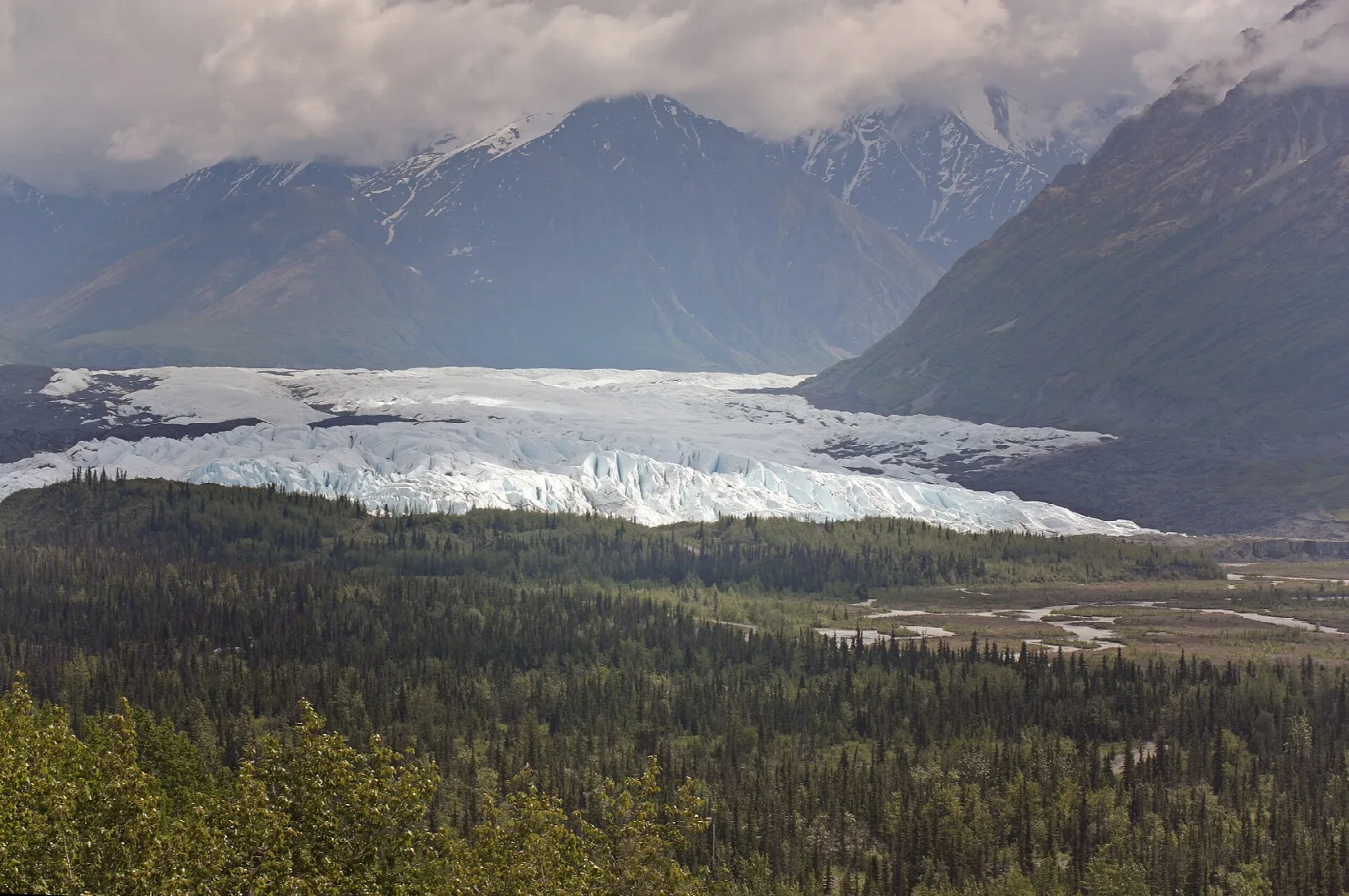Wide glacier tongue spreading across a forested valley beneath cloudy mountains