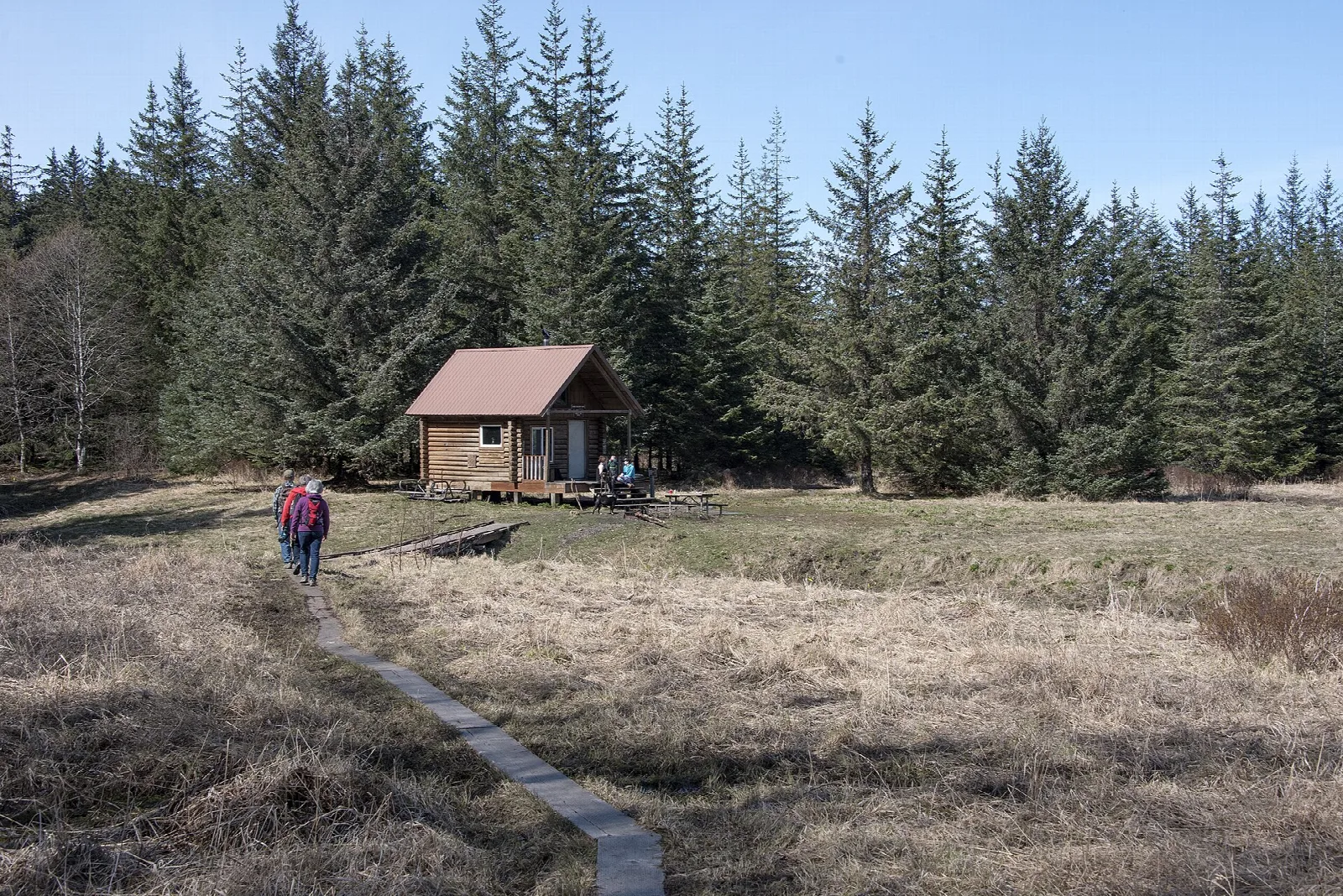 Small log cabin in a grassy clearing with a plank trail and spruce forest