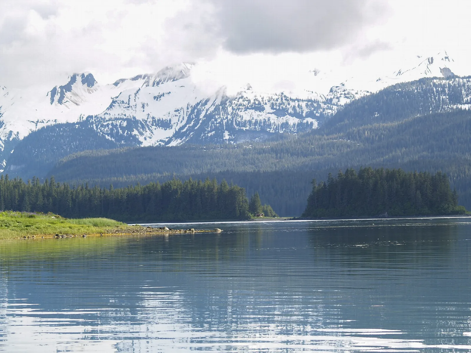 Calm bay with snow-covered mountains and a forested shore