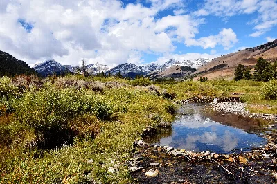 Salmon-Challis National Forest