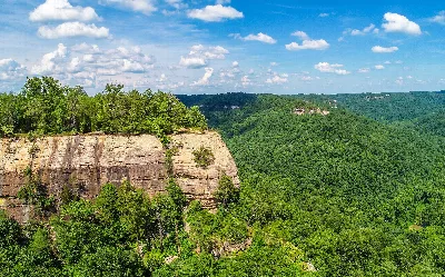 Daniel Boone National Forest