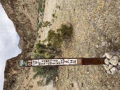 Beaver Dam Wash Designated Dispersed Camping Area