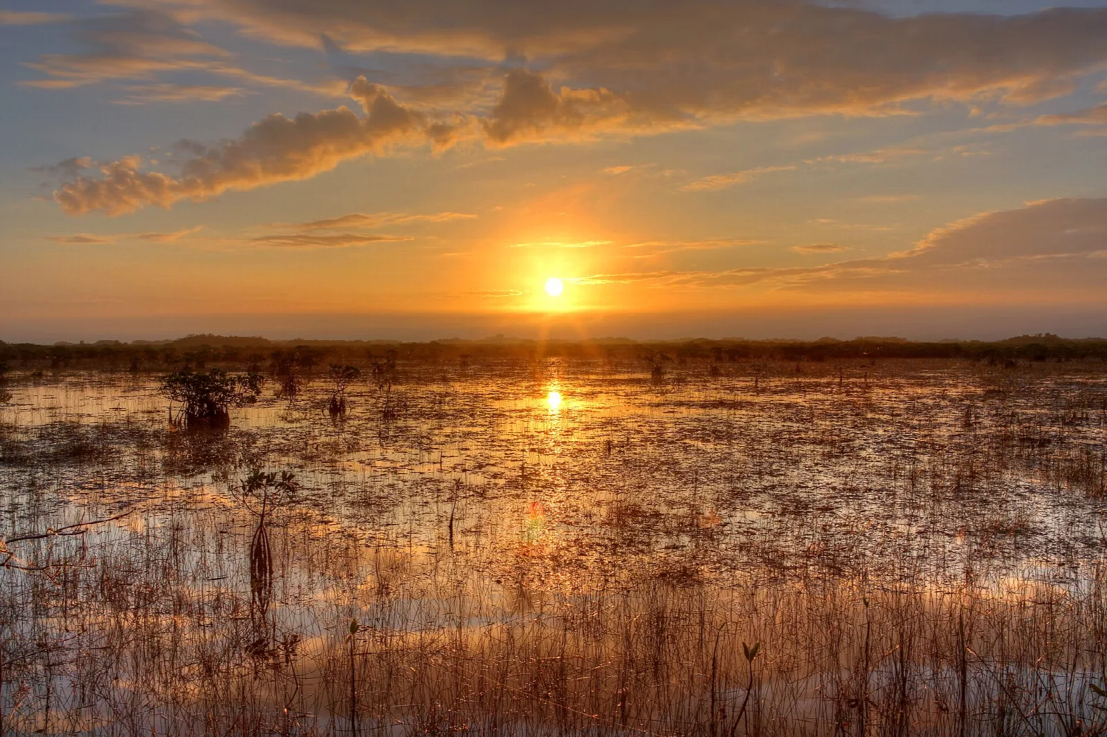 The sun setting over a vast, watery sawgrass marsh, reflected in the shallows