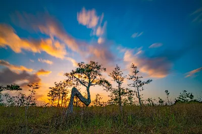Everglades National Park