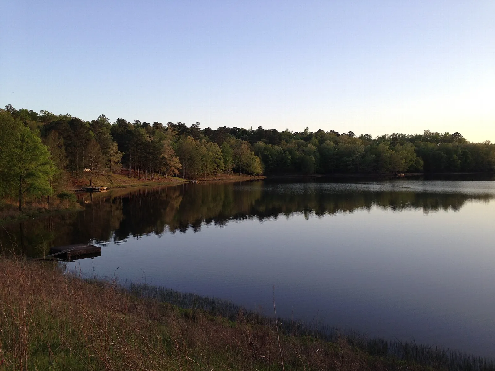 Still lake reflecting a line of green and autumn trees at dusk, with a small dock near the shore