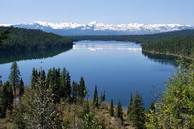 Flathead National Forest