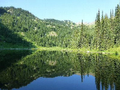 Lolo National Forest
