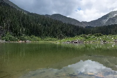 Carson National Forest