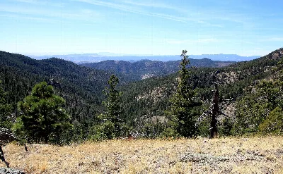 Gila National Forest