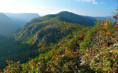 Pisgah National Forest